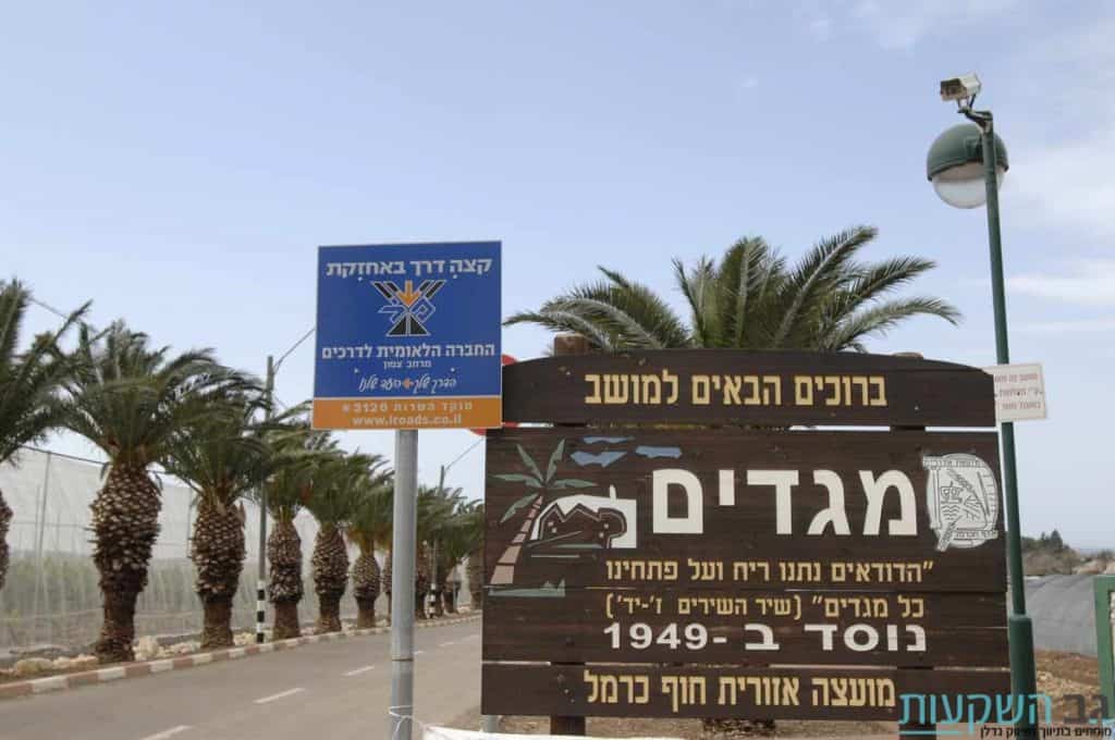 מגדים